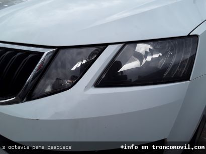S. OCTAVIA PARA DESPIECE - foto9